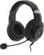 Наушники с микрофоном A4Tech Bloody G220 черный 2м мониторные оголовье (G220 AUX3.5-4PIN + USB) Наушники с микрофоном A4Tech Bloody G220 черный 2м мониторные оголовье (G220 AUX3.5-4PIN + USB)