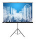 Экран Cactus Triscreen CS-PST-104x186 104.4 x 186см 1:1 напольный рулонный белый