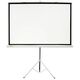 Экран Cactus Triscreen CS-PST-124x221 124.5 x 221см 16:9 напольный рулонный белый/черный Экран Cactus Triscreen CS-PST-124x221 124.5 x 221см 16:9 напольный рулонный белый/черный