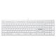 Клавиатура A4Tech Fstyler FX50 белый USB slim Multimedia (FX50 WHITE)