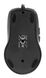 Мышь A4TECH V-Track Padless N-708X серый оптическая (1600dpi) USB (6but) [603731]