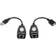 Telecom Адаптер-удлинитель USB-AMAF/RJ45