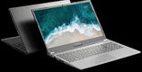 Nerpa Caspica I752 Nerpa Caspica I752