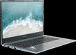 Nerpa Caspica I752 Nerpa Caspica I752