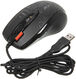 A4Tech Мышь V-Track F5 черный/рисунок оптическая (3000dpi) USB (6but)[647961]