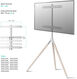 ONKRON TS1220 стойка для ТВ и сенсорных панелей 32 ONKRON TS1220 стойка для ТВ и сенсорных панелей 32