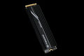 Transcend SSD MTE250H