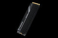 Transcend SSD MTE250H