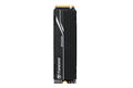Transcend SSD MTE250H