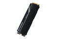 Transcend SSD MTE250H