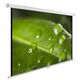 Экран Cactus WallExpert CS-PSWE-200x150-WT 150x200 см 4:3 настенно-потолочный рулонный Экран Cactus WallExpert CS-PSWE-200x150-WT 150x200 см 4:3 настенно-потолочный рулонный