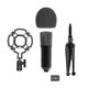 RITMIX RDM-160 Black {конденсаторный}