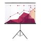 Экран Cactus Triscreen CS-PST-180X180 180х180см 1:1 напольный белый