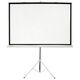 Экран Cactus Triscreen CS-PST-180X180 180х180см 1:1 напольный белый
