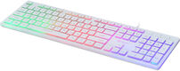 Клавиатура Oklick 550ML белый USB slim Multimedia LED [1061618]
