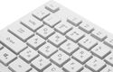 Клавиатура Oklick 550ML белый USB slim Multimedia LED [1061618]