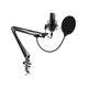 RITMIX RDM-169 Black {увствительность: - 42 ± 2 дБ?