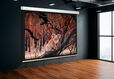 Экран Cactus Wallscreen CS-PSW-168X299 168x299 см 16:9 настенно-потолочный рулонный белый Экран Cactus Wallscreen CS-PSW-168X299 168x299 см 16:9 настенно-потолочный рулонный белый