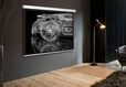 Экран Cactus Wallscreen CS-PSW-213x213 213 x 213см 1:1 настенно-потолочный рулонный белый