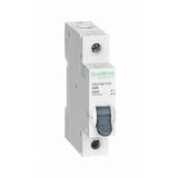 City9 Set Автоматический выключатель С 63А 1P 4.5kA 230В Systeme electric C9F34163 (АВ)