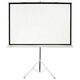 Экран Cactus Triscreen CS-PST-150X150 150х150 см 1:1 Экран Cactus Triscreen CS-PST-150X150 150х150 см 1:1