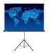 Экран Cactus Triscreen CS-PST-150X150 150х150 см 1:1 Экран Cactus Triscreen CS-PST-150X150 150х150 см 1:1