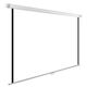 Экран Cactus WallExpert CS-PSWE-220x138-WT 138x220 см 16:10 настенно-потолочный рулонный белый Экран Cactus WallExpert CS-PSWE-220x138-WT 138x220 см 16:10 настенно-потолочный рулонный белый