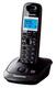 Panasonic KX-TG2521RUT (титан) {АОН Panasonic KX-TG2521RUT (титан) {АОН
