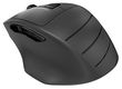 A4Tech
A-4Tech Мышь Fstyler FG30S серый оптическая (2000dpi) silent беспроводная USB (6but) [1204070]