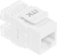 ITK CS1-1C5EU-12 Модуль Keystone Jack кат. 5E UTP 110 IDC 180 град.
