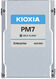 Kioxia KPM71VUG6T40