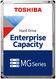 Toshiba MG10SCA20TE