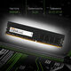 Digma DDR4 DIMM 16GB DGMAD43200016D PC4-25600
