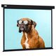 Экран Cactus 183x244см Wallscreen CS-PSW-183X244-BK 4:3 настенно-потолочный рулонный черный Экран Cactus 183x244см Wallscreen CS-PSW-183X244-BK 4:3 настенно-потолочный рулонный черный
