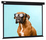 Экран Cactus 183x244см Wallscreen CS-PSW-183X244-BK 4:3 настенно-потолочный рулонный черный Экран Cactus 183x244см Wallscreen CS-PSW-183X244-BK 4:3 настенно-потолочный рулонный черный
