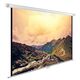 Экран Cactus WallExpert CS-PSWE-240x180-WT 240х180см 4:3 настенно-потолочный рулонный Экран Cactus WallExpert CS-PSWE-240x180-WT 240х180см 4:3 настенно-потолочный рулонный