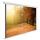 Экран Cactus WallExpert CS-PSWE-200x125-WT 125x200 см 16:10 настенно-потолочный рулонный