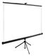 Экран Cactus TriExpert CS-PSTE-180x135-BK 135x180 см 4:3 напольный рулонный