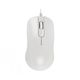 CBR CM 105 White