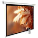 Экран Cactus MotoExpert CS-PSME-300x188-WT 188x300 см 16:10 настенно-потолочный рулонный белый Экран Cactus MotoExpert CS-PSME-300x188-WT 188x300 см 16:10 настенно-потолочный рулонный белый