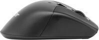Acer OMR150 [ZL.MCEEE.00K] черный оптическая (1600dpi) беспроводная USB (6but)