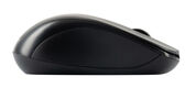 Acer OMR131 [ZL.MCEEE.01E] черный оптическая (1000dpi) беспроводная USB для ноутбука (2but)