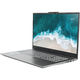 Nerpa Caspica I552-17 Nerpa Caspica I552-17