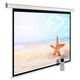 Экран Cactus 175x280см SIlverMotoExpert CS-PSSME-280X175-WT 16:10 настенно-потолочный рулонный белый (моторизованный привод) Экран Cactus 175x280см SIlverMotoExpert CS-PSSME-280X175-WT 16:10 настенно-потолочный рулонный белый (моторизованный привод)