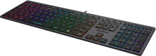Клавиатура A4Tech Fstyler FX60H серый USB slim LED (FX60H GREY/NEON) [FX60H GREY/NEON]