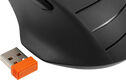 Мышь беспроводная A4Tech Fstyler FG30 