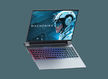MACHENIKE
L16 Pro Supernova 16.0'' WQUXGA(3840x2400)/Intel Core i9-13900HX/64GB/2x1TB SSD/GF RTX4090 16GB/WiFi/BT/1.0MP/4cell/2,49 kg/W11Pro/1Y/GREY