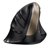 Genius
Мышь беспроводная Ergo 8250S черная (Champagne +Black) 31030031400