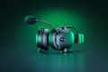 Razer RZ04-04960100-R3M1 Razer RZ04-04960100-R3M1