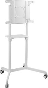 белый 37"-70" макс.70кг напольный мобильный Cactus CS-ST1146WT&nbsp;<img style='position: relative;margin:0' src='/image/only_to_order_edit.gif' alt='На заказ' title='На заказ' />